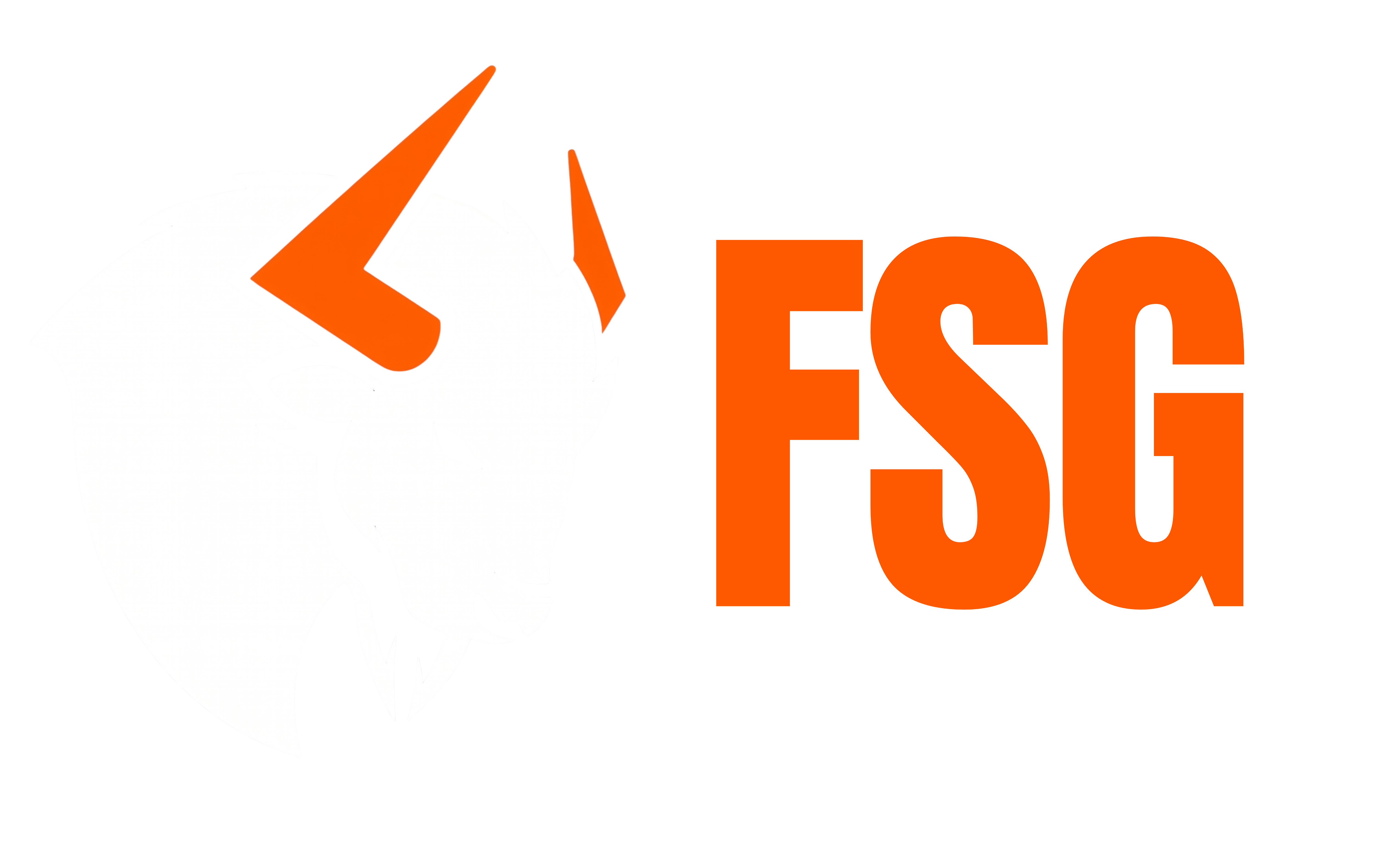 Fillion Solutions Group